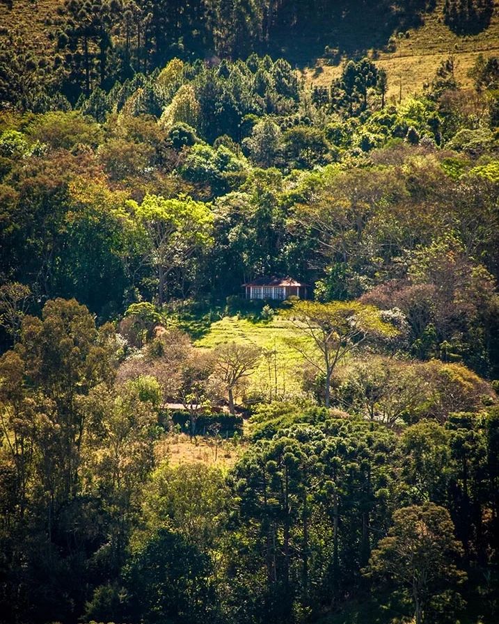 Fazenda Lila